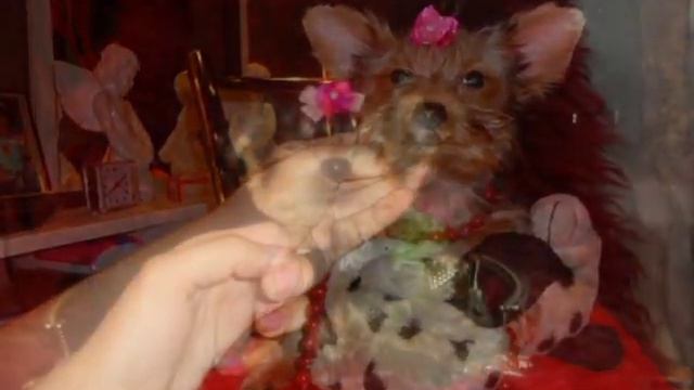 Ee591222214a972bfc60635df3515b59