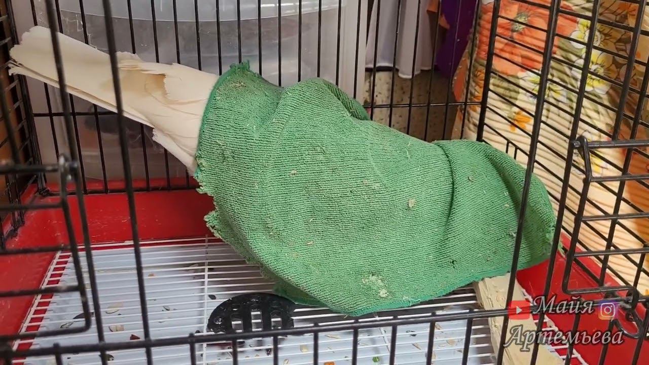 Aa2f2dbae063540887697e6ee8056fcf