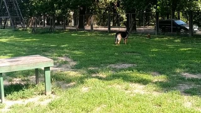 5e438837070d85139e597db8e7efa800