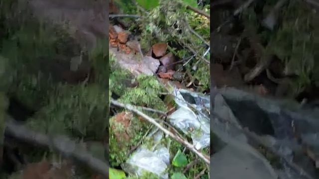 1. В поисках Усланской фабрики Тейфеля. фундамент, валунная и  кирпичная кладка.