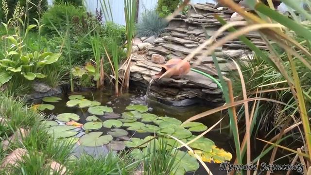 Типичный слаанешит