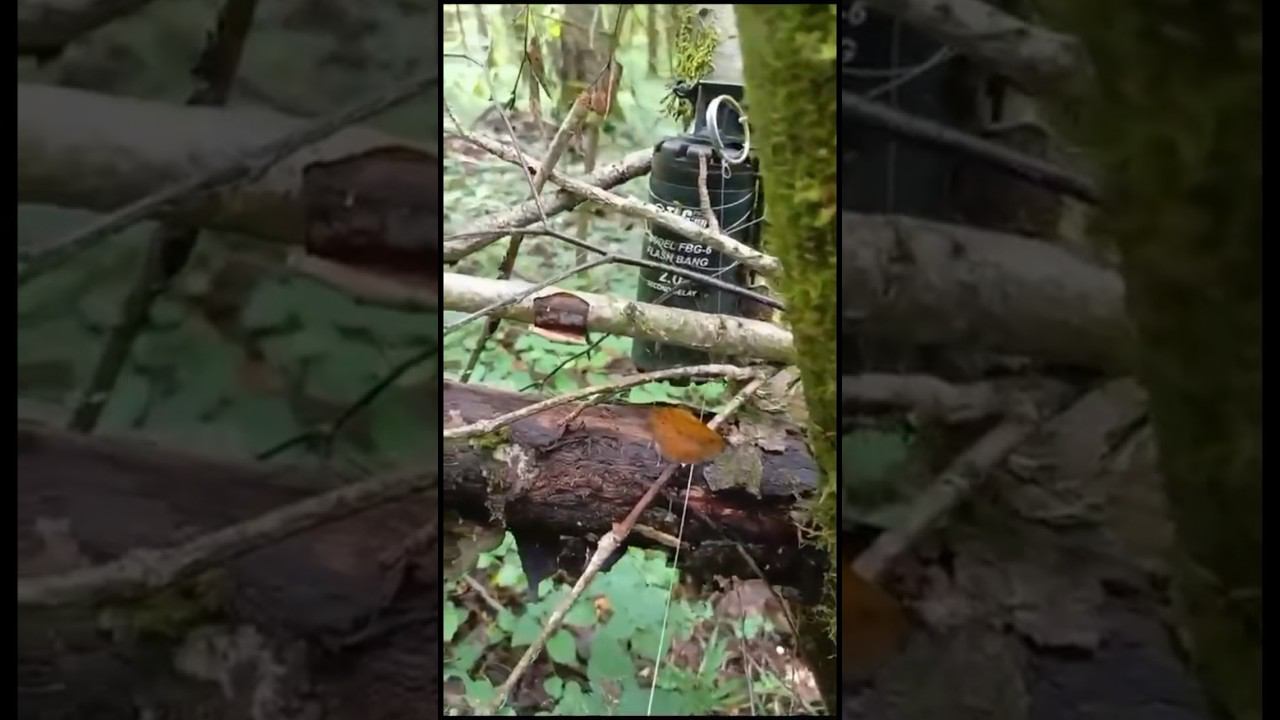 113258e89fdc48f2470460eccab6893c