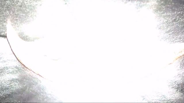 Крыло Ангела!!!!!!!!!1