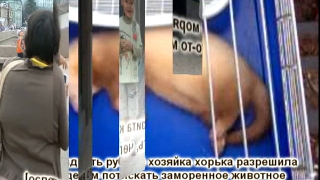 377429ae2f23d41c0a8ea0819a56007f