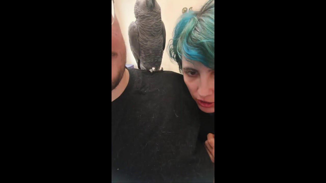 Bd47788794c055ffeb3447c28f3c7230