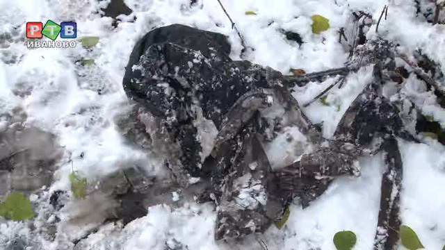 Отлов по правилам и без