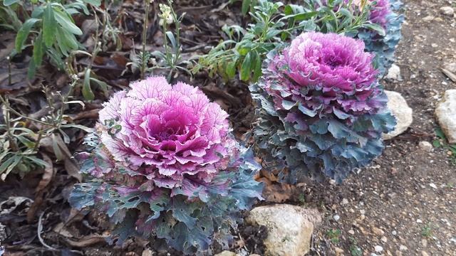 82330651f3ffc6d6b0789bba9e2a8c55