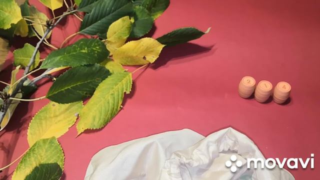 Вишивальна гра 