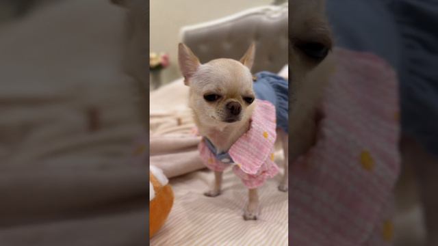 45fc450404254edf395293c1b6486e93