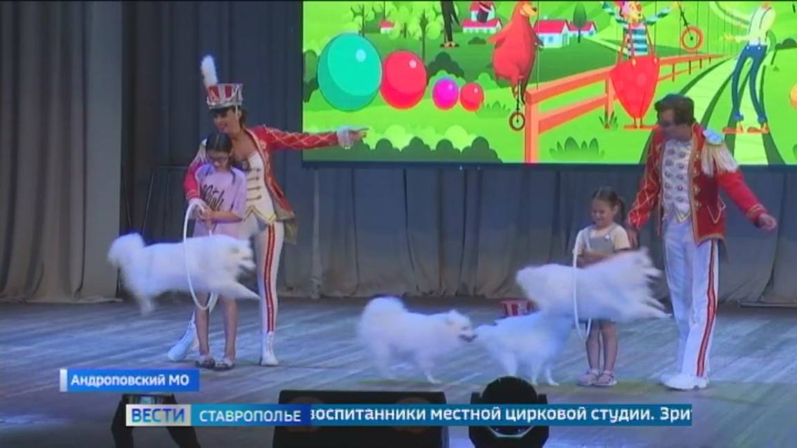 На Ставрополье в сельском ДК показали красочное цирковое шоу