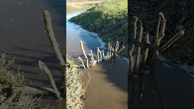 На свежем воздухе ,решил помочь , выживание