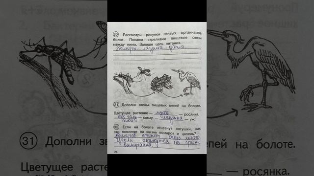ГДЗ Окружающий мир 3 класс  часть 2 Федотова О.Н. Трафимова Г.В. Трафимов С.А.
