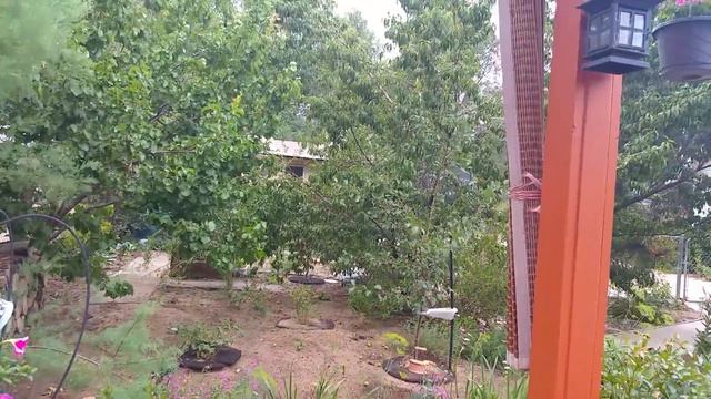 Загадочная сила магического сердца