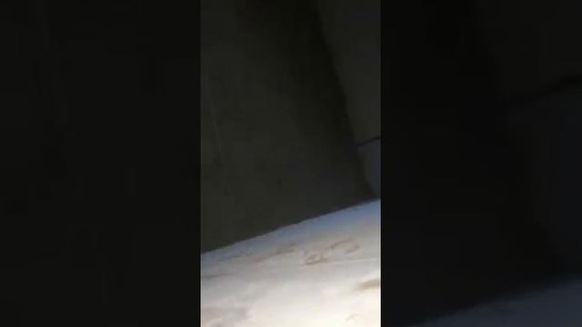 23 VID 20220328 WA0000.mp4