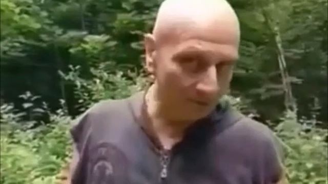 Орёл и ворона