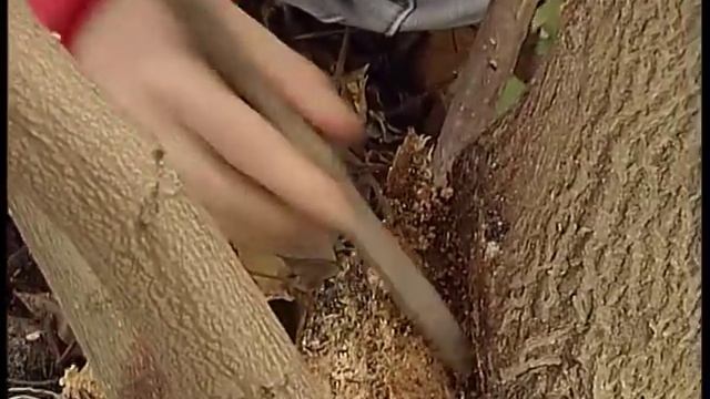 Моя дача-68 (28.10.15)