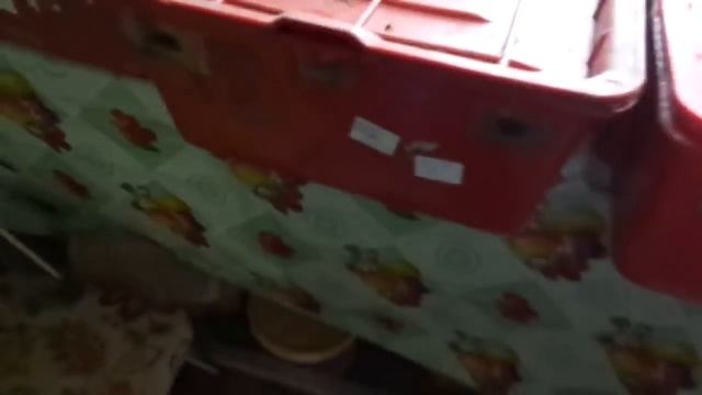 Какой субстрат питательнее, продолжение/Разведение червя дендробена