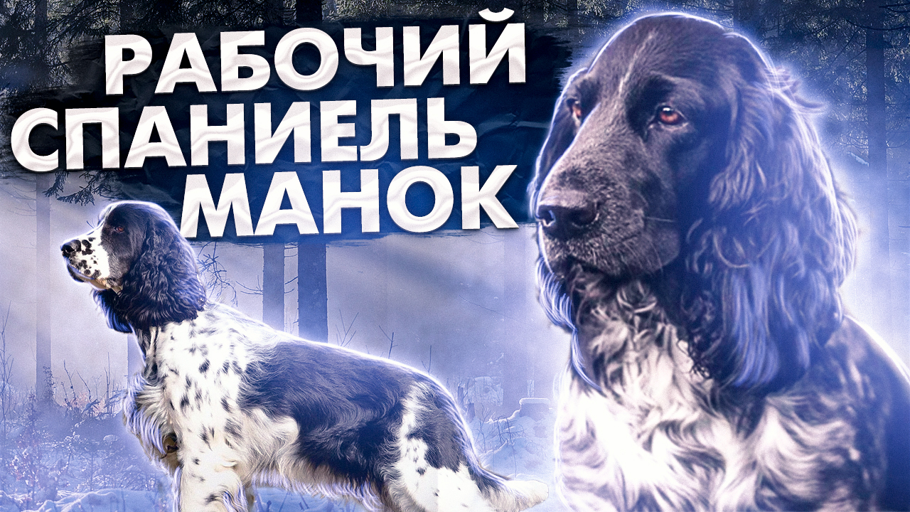 5b8da4a1ab8e2de6ce7d643449dd1d21