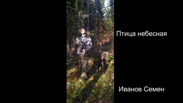 Птица небесная-Гран Куражъ. Кавер