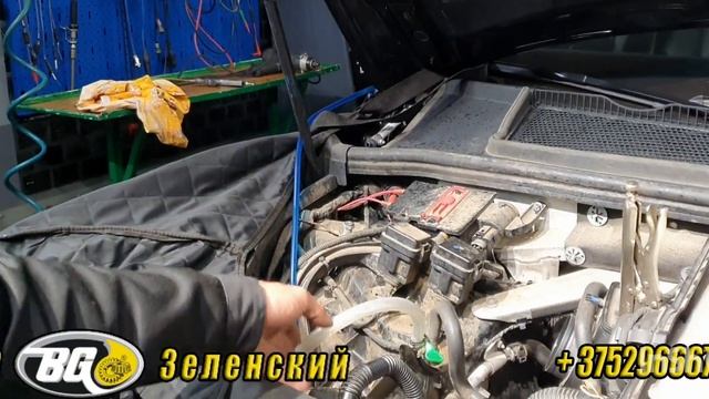 Мастера блеска