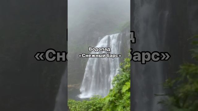 Йога-тур на Камчатку 2024🌋