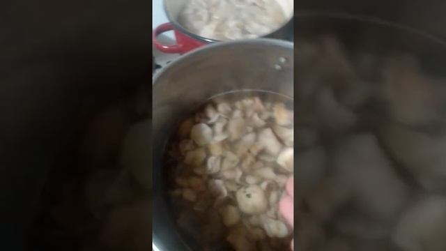 Маринованные грибы без сахара для престижного образа жизни