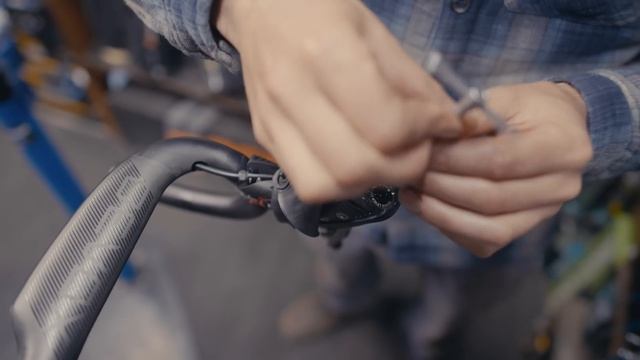 DREAM BUILD ROAD BIKE - Felt AR Aero - Niki Terpstra