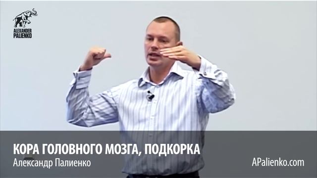 D7544a04b131c6bae46ad4929656153a