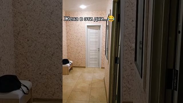 @kuper_max_1987=cccea9.mp4