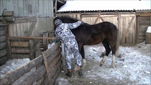 D4aaff49a0871cb5e6b5c2b4fa59676a