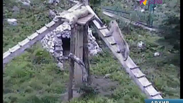 Сочинских леопардов выпустят в дикую природу в 2016 году