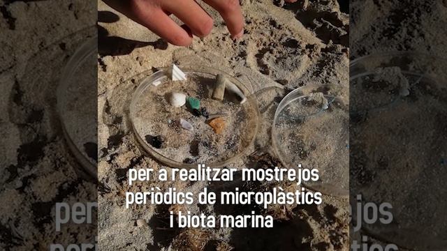 Associació NOCTILUCA