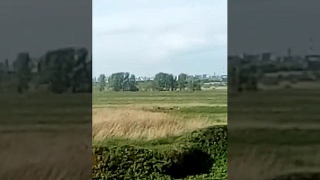 Небо, земля и питомцы! КОГДА НЕ ЧЕГО БЫЛО ДЕЛАТЬ:)