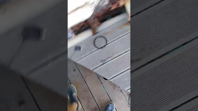 4585edbf159415845dc20d4dbe03e1c3