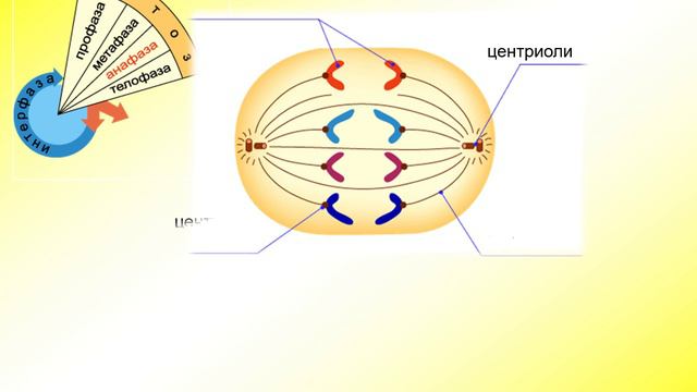 0880f4d05ca569b3b0407430b3bd8463