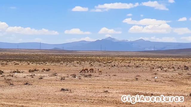 Arequipa La Ciudad Blanca 4K | Perú | Gigi Aventuras