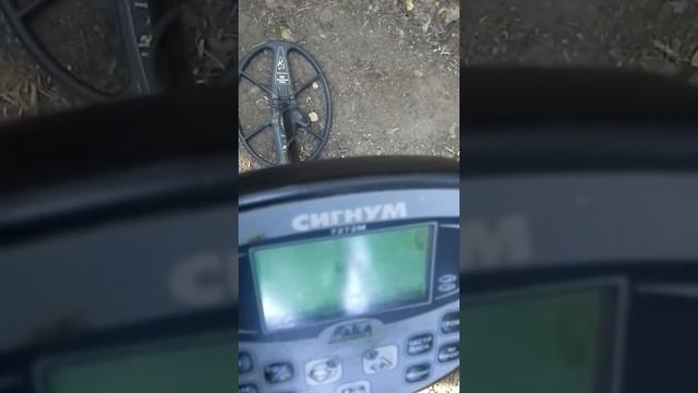 Как разогнать Сигнум ПРО на глубину