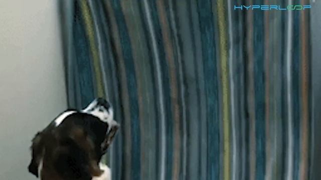 20 FUNNIEST AND MOST EMBARRASSING  MOMENTS IN SPORTS