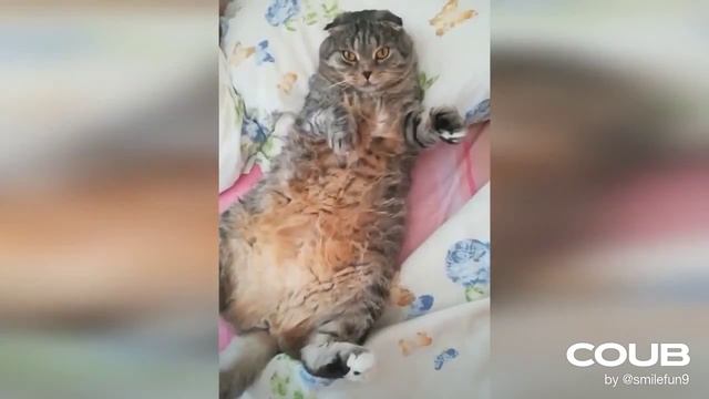 Как правильно ложиться спать _).mp4