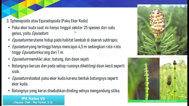KLASIFIKASI MAKHLUK HIDUP | KINGDOM PLANTAE (DUNIA TUMBUHAN) | (VIDEO PEMBELAJARAN)