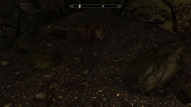 COMPANION QUEST 14 TOTEMS OF HIRCINE