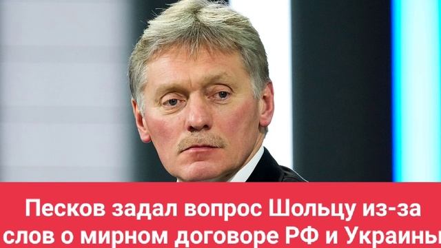 Песков задал вопрос Шольцу из-за слов о мирном договоре РФ и Украины