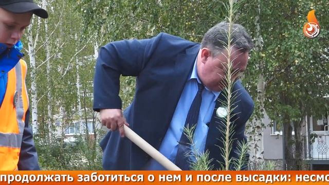 82 САЖЕНЦА ПОДАРИЛИ ЗАРЕЧНОМУ В ДЕНЬ ЕГО РОЖДЕНИЯ