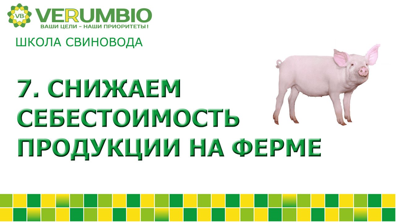 Снижаем себестоимость продукции на ферме