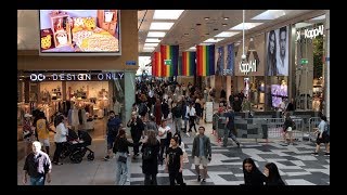 49be121d1175e8c8eb4a86a6ae700523