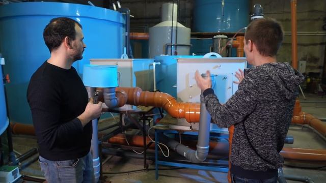 Посетили осетровую ферму в Воронеже. Как всё устроено и на сколько это прибыльное дело.