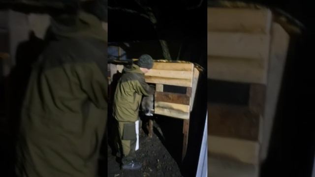 Знакомство с кролом. Порода фландр (бельгийский великан)