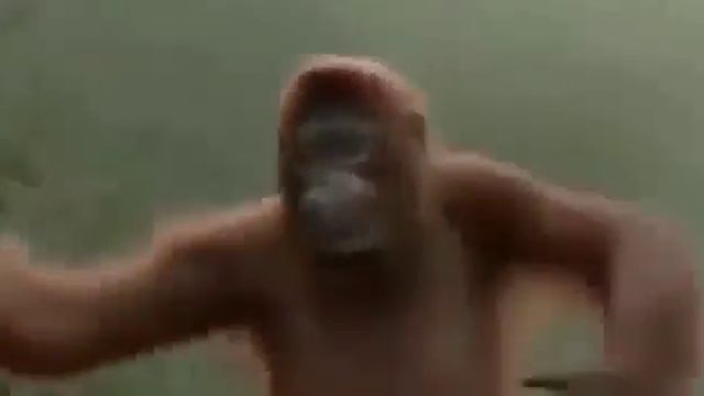 Обезьяна танцует