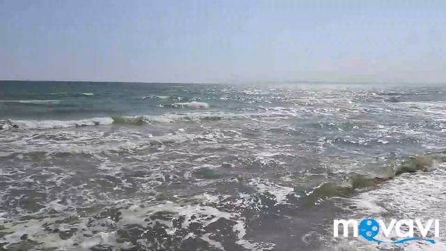 Морские котики на тренировке..