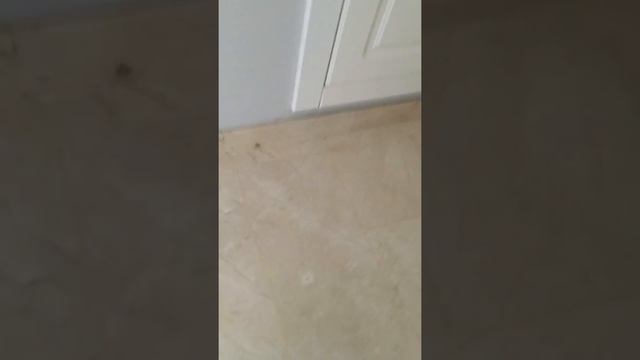 Обзор мини сигвей